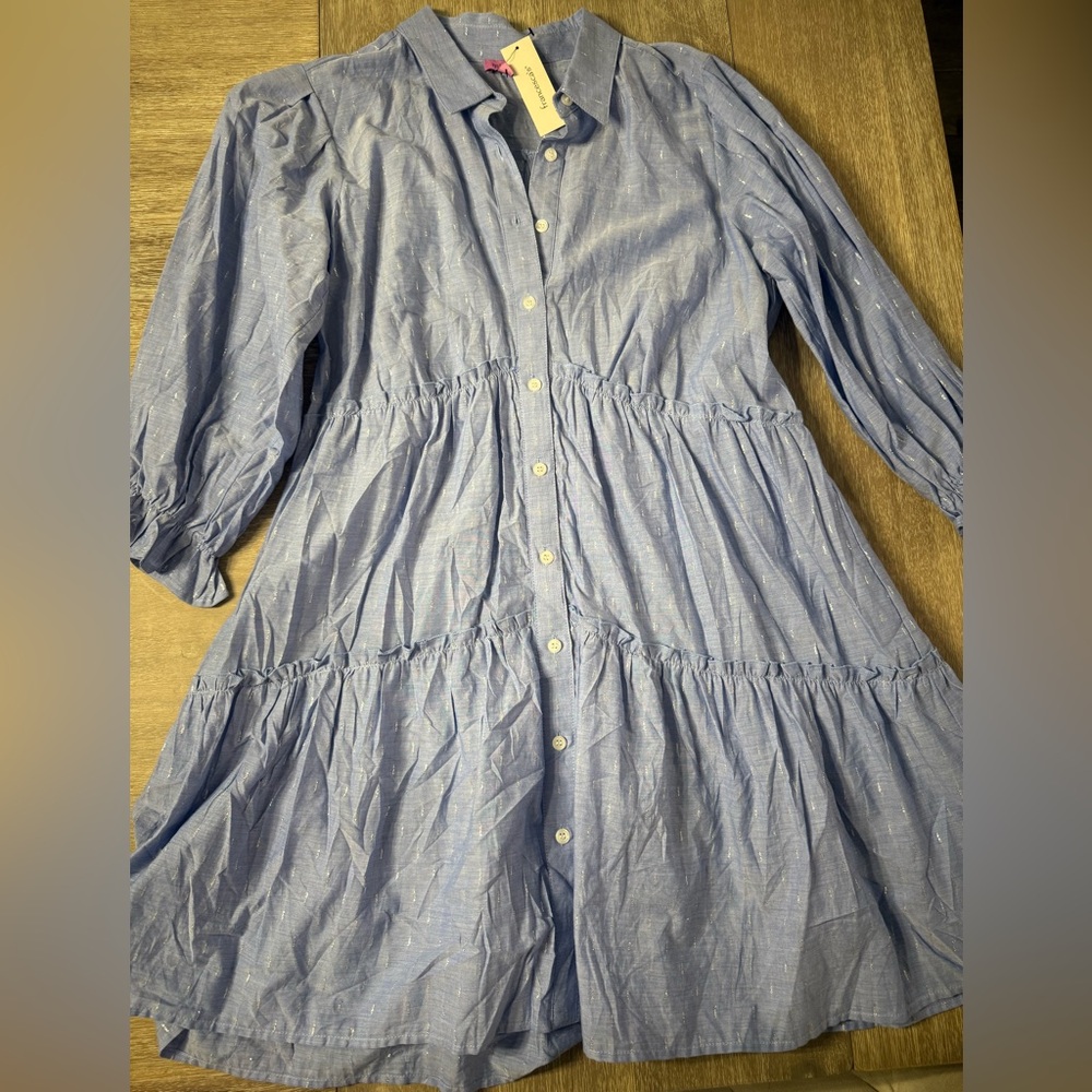 Blue Button-Up Dress